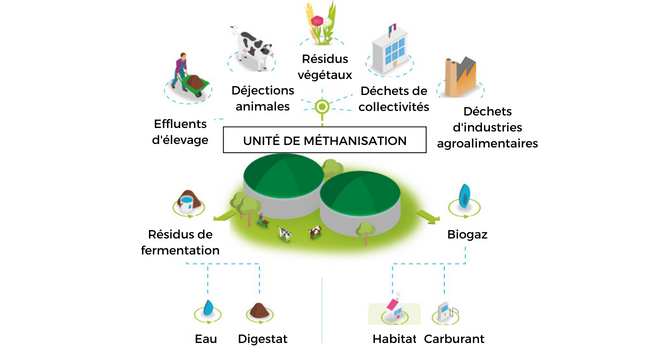 schéma méthanisation