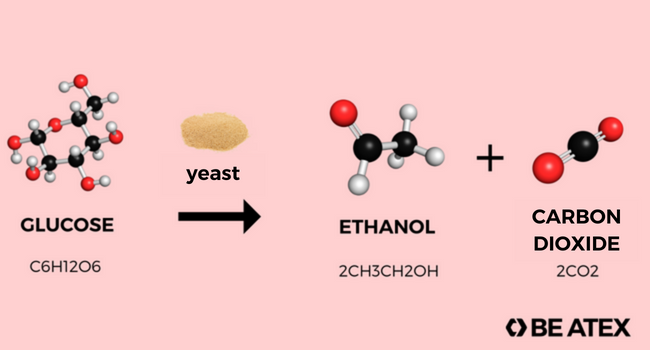 Chemical reaction beer fermentation