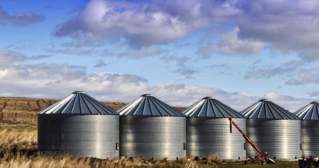 Dans les silos à grains