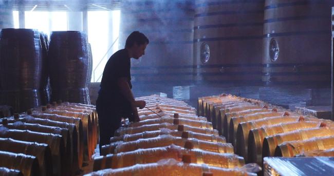 Origin of CO₂ in winemaking