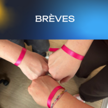 Brèves Be Atex News